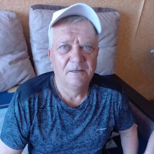 Николай, 68 лет, Михайловск