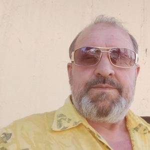 Владимир Степанов, 59 лет, Курск