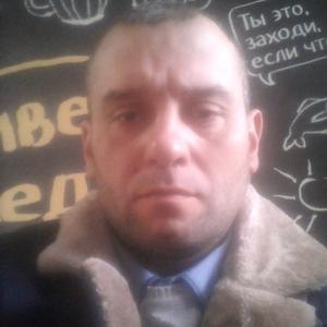 Денис Заречнев, 36 лет, Барнаул
