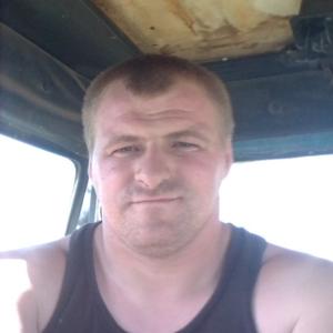 Парни в Порхове: Алексей, 31 - ищет девушку из Порхова