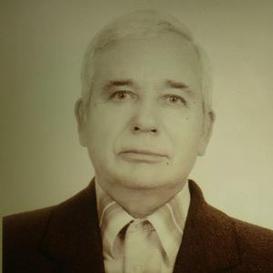 Владимир, 76 лет, Ставрополь