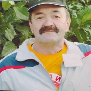 Владимир, 65 лет, Железногорск