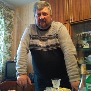 Виктор, 68 лет, Нижний Новгород