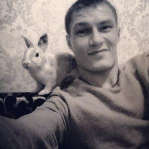 Алексей, 36 лет, Электросталь