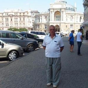 Парни в Бобруйске: Владимир, 71 - ищет девушку из Бобруйска