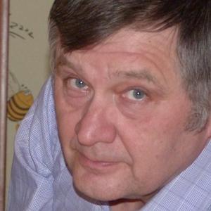 Виктор, 66 лет, Александров