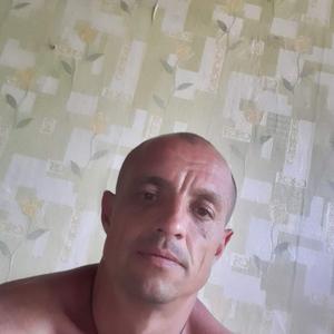 Александр, 43 года, Могилев