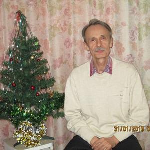 Константин Шабурников, 63 года, Челябинск
