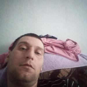 Антон, 37 лет, Вологда