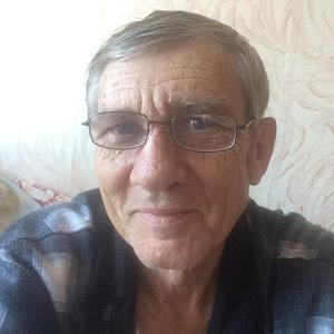 Парни в Лесозаводске: Михаил, 73 - ищет девушку из Лесозаводска