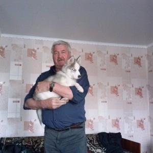 Анатолий Юров, 73 года, Пермь