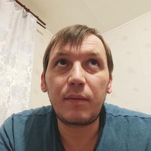 Парни в Перми: Сергей, 39 - ищет девушку из Перми