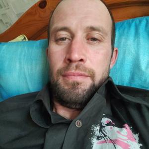 Сергей, 43 года, Тума