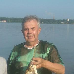 Игорь, 64 года, Пермь