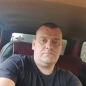 Димон, 37 лет, Воронеж