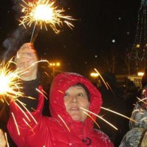 Елена, 63 года, Новосибирск