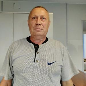 Евгений Григорьев, 68 лет, Пермь