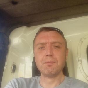 Максим, 42 года, Александров