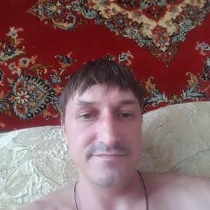 Андрей, 36 лет, Новочебоксарск