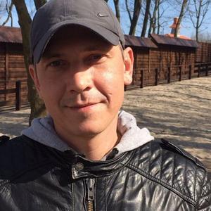 Сергей, 44 года, Зеленоградск