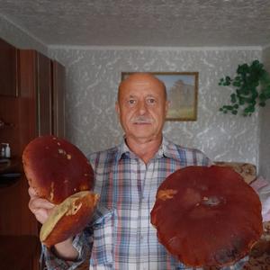 Виктор, 64 года, Александров