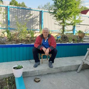 Александр, 66 лет, Елизово