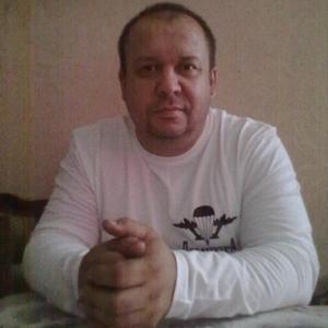 Роман Лазарев, 54 года, Тула