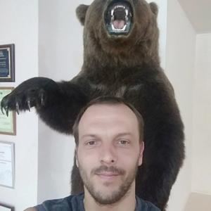 Andre, 35 лет, Витебск
