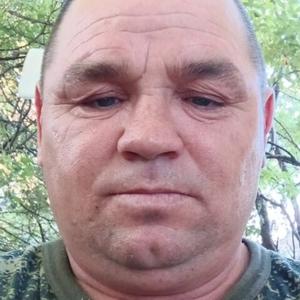 Анатолий Сметанин, 45 лет, Троицк