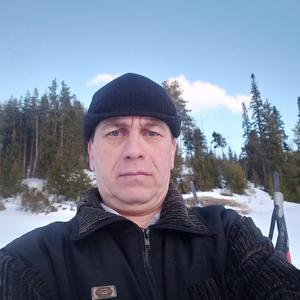 Фаниль Башаров, 45 лет, Алнаши