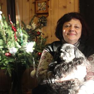 Елена, 64 года, Санкт-Петербург