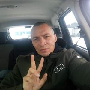 Иван, 38 лет, Тюмень
