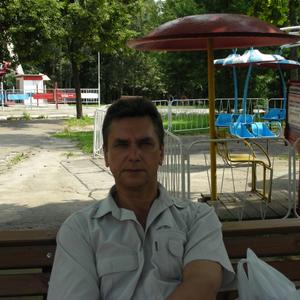 Александр, 65 лет, Брянск