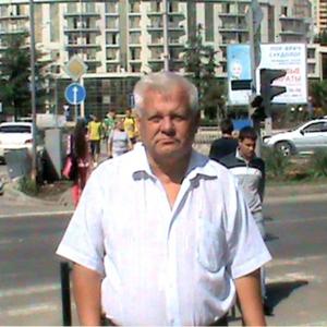 Николай, 70 лет, Ростов-на-Дону