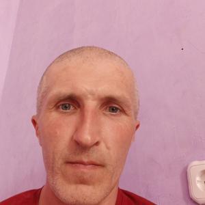 Игорь, 42 года, Гомель