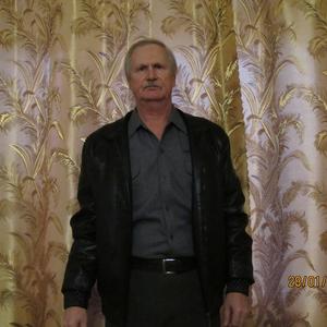 Парни в Томске: Иван, 68 - ищет девушку из Томска