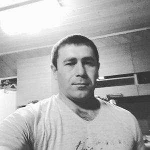 Алиев, 37 лет, Саратов