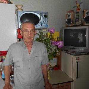 Виталий, 67 лет, Липецк