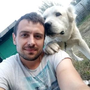 Сергей, 36 лет, Курск