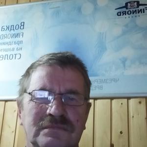 Владимир, 63 года, Рыбинск