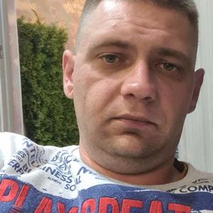 Александр, 31 год, Павловская