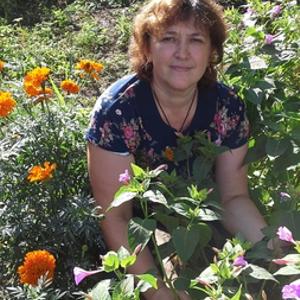 Galina Sycheva, 56 лет, Комсомольск-на-Амуре