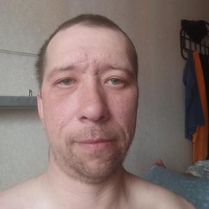 Александр, 37 лет, Прохладный
