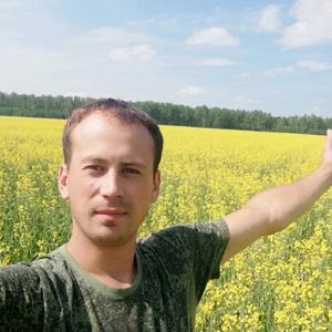 Парни в Новоселовское: Антон, 35 - ищет девушку из Новоселовское