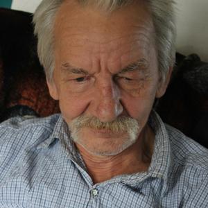 Сергей, 66 лет, Новодвинск