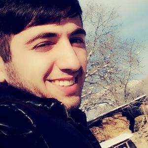 Mushegh, 28 лет, Ереван