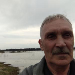 Виктор, 66 лет, Кольчугино