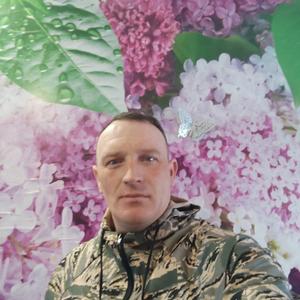 Андрей, 44 года, Белово