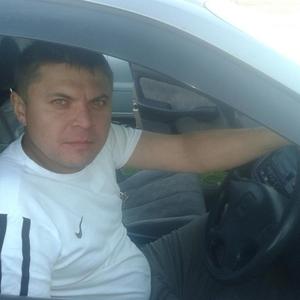 Vitalik, 44 года, Барнаул