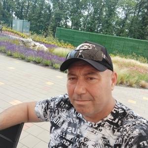 Александр, 46 лет, Краснодар